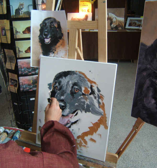 Championnat de France du Chien de Race . 129ème Edition (photo)