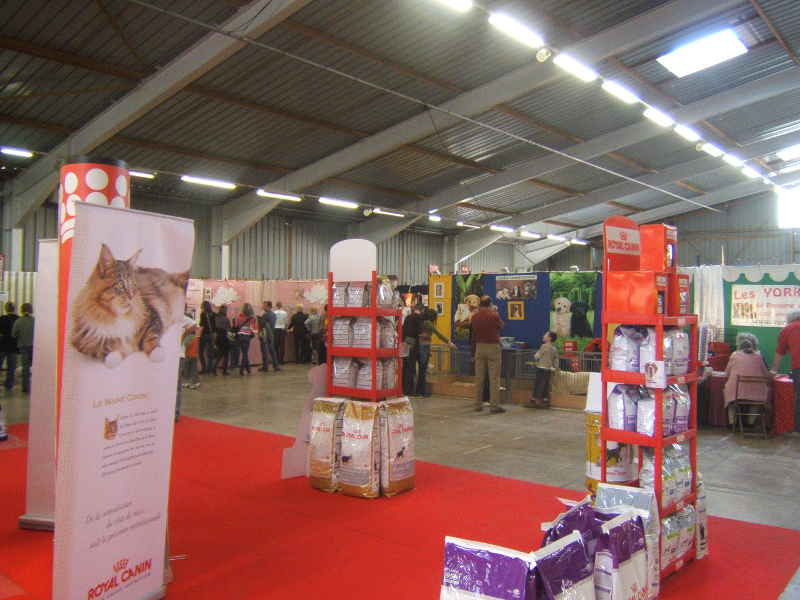 Salon animalier BEZIERS . 1ère Edition (photo)