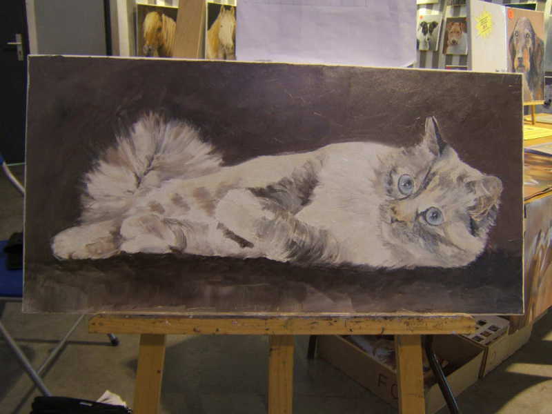 Salon animalier NÎMES . 4ème Edition (photo)