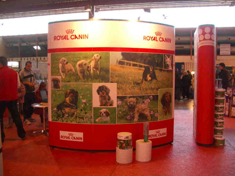 Salon animalier NÎMES . 4ème Edition (photo)