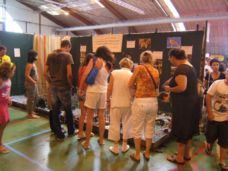 Salon animalier PALAVAS LES FLOTS . 7ème Edition (photo)