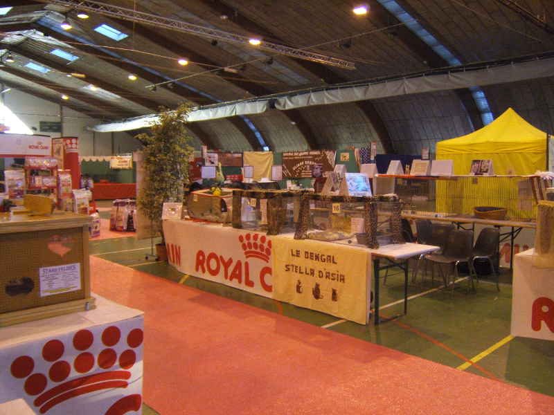 Salon animalier PALAVAS LES FLOTS . 7ème Edition (photo)