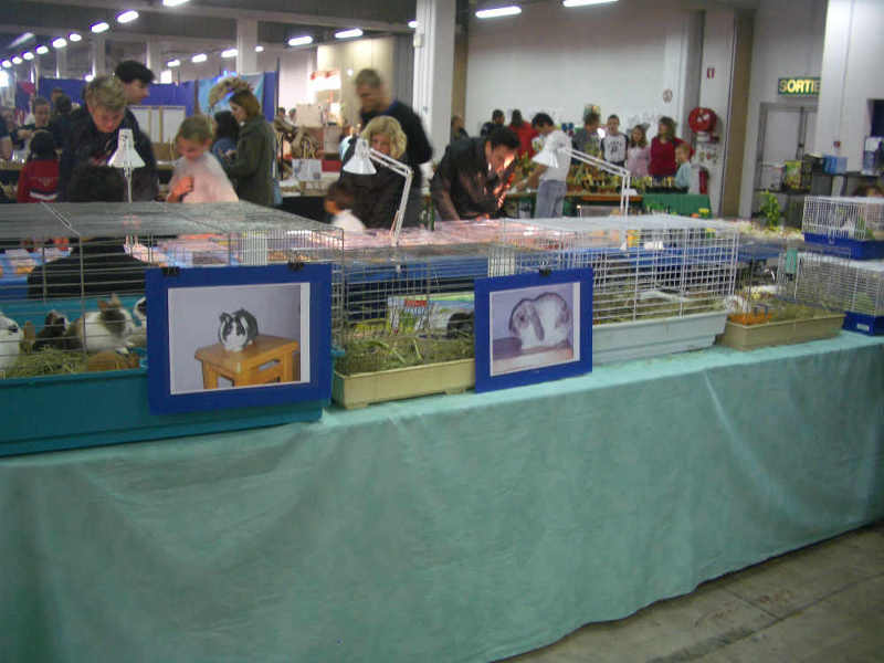 Salon animalier LYON VILLEURBANNE . 8ème Edition (photo)