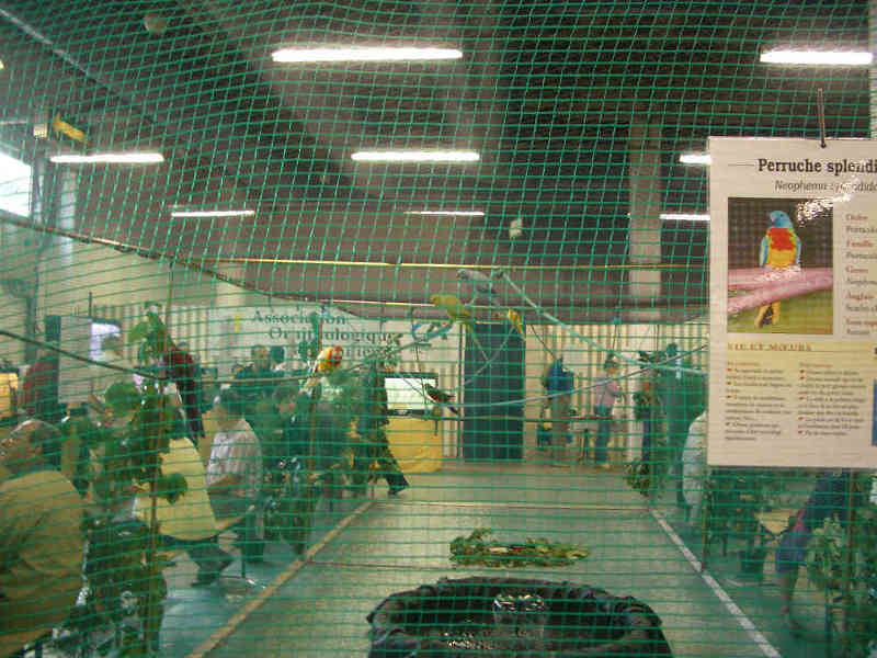 Salon animalier LYON VILLEURBANNE . 8ème Edition (photo)