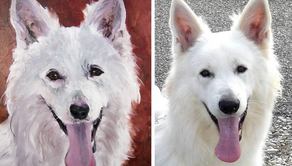 gagnant QUIZ . Villefranche/Saône . mai-juin 2008