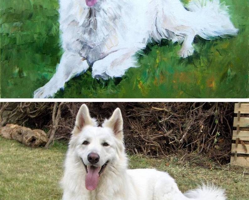 gagnant QUIZ . Lyon Villeurbanne . octobre 2007