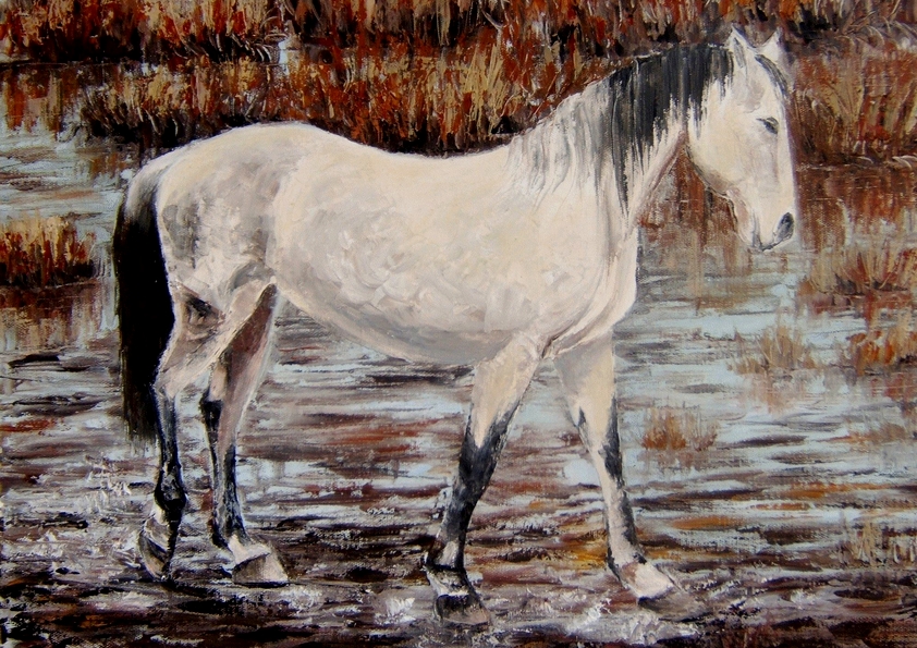LANCELOT . cheval de Camargue peinture)