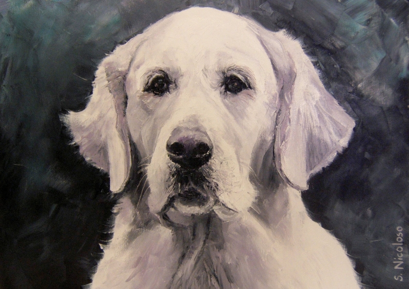 ARWEN . golden retriever (peinture)