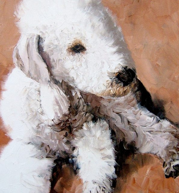 BEDLINGTON TERRIER (peinture)