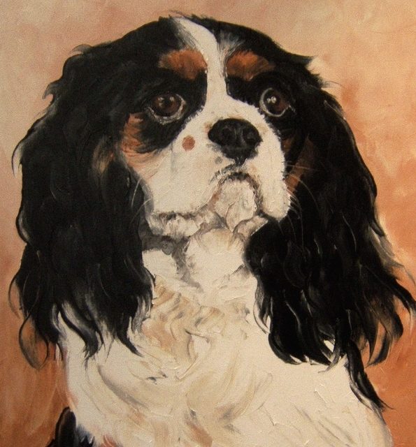 CAVALIER KING CHARLES (peinture)