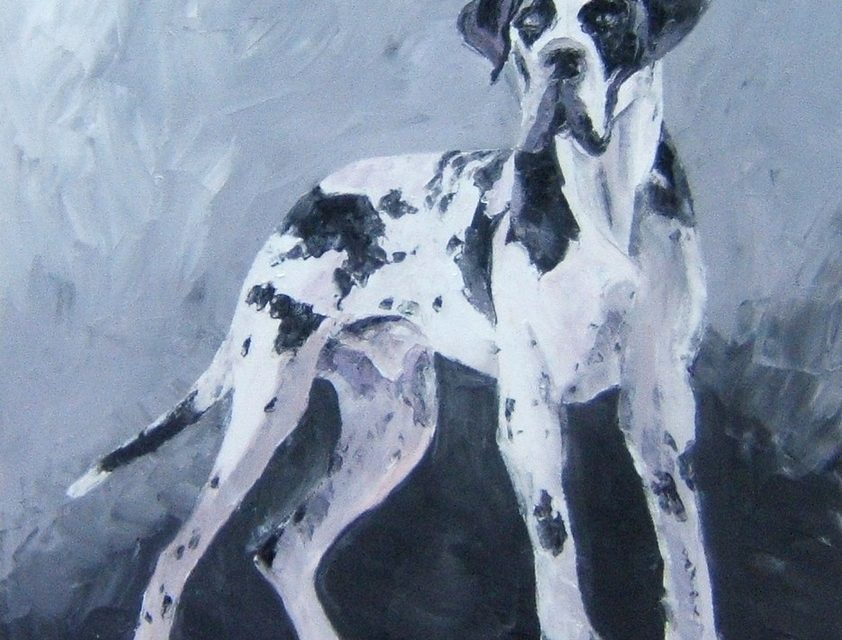 DOGUE ALLEMAND (peinture)