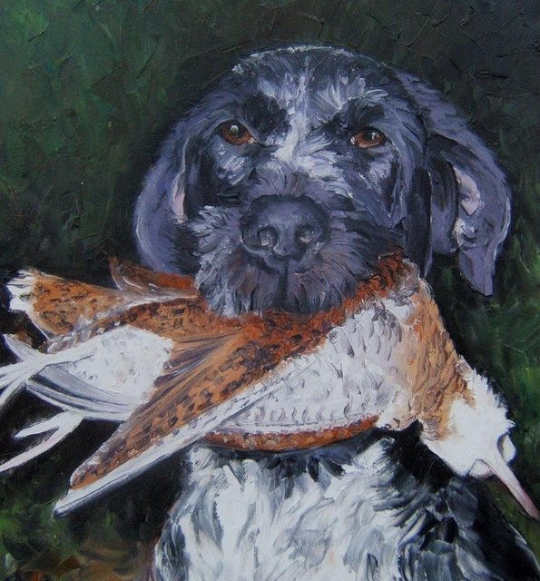 DRAHTHAAR . chien de chasse (peinture)