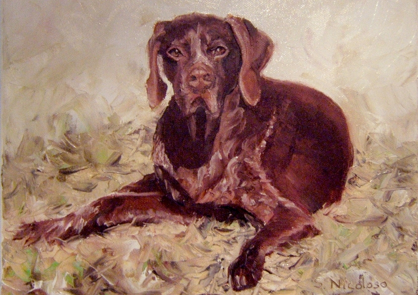 MURPHY . braque allemand (peinture)