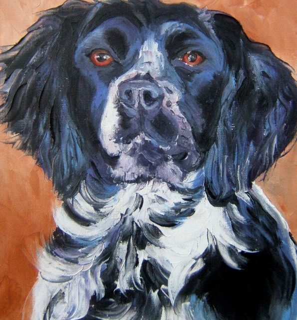 NEIGE . épagneul blanc noir (peinture)