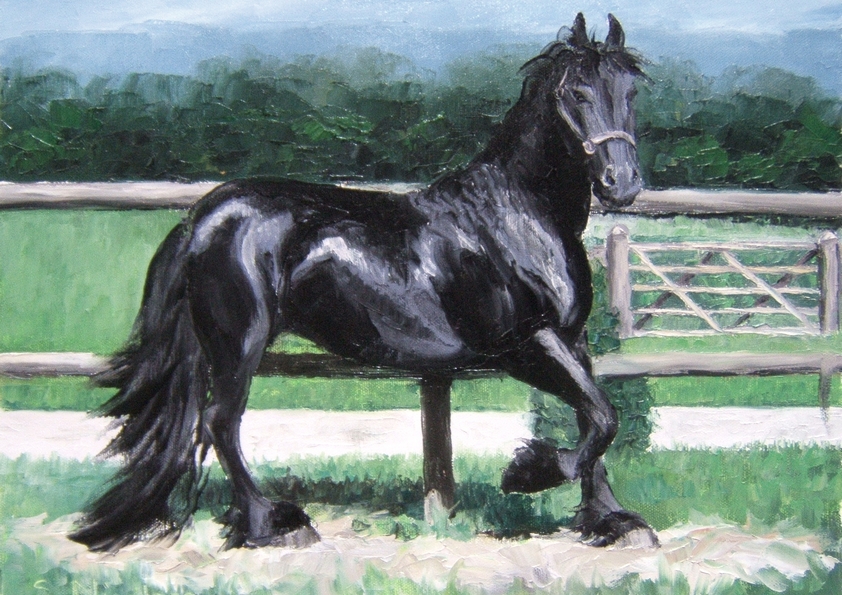REISTE . Frison noir (peinture)