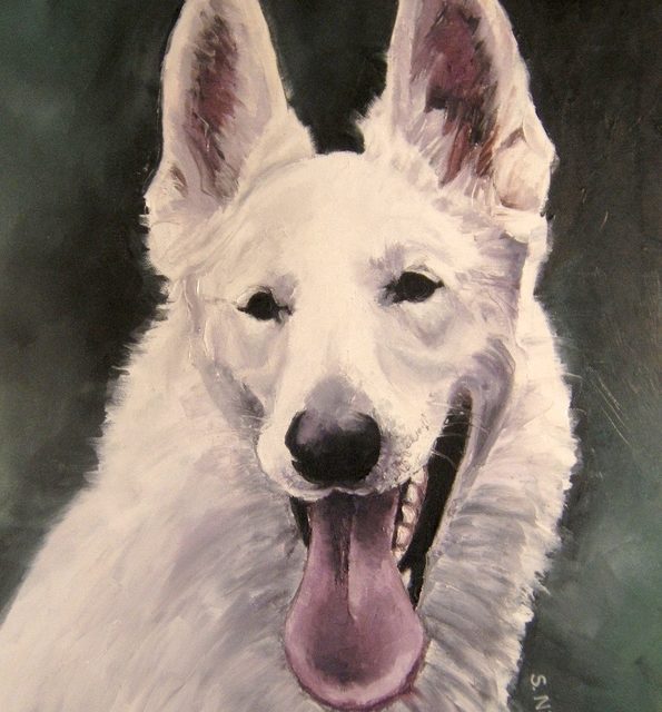 SHADOW . berger blanc suisse (peinture)