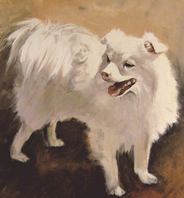 SPITZ blanc (peinture)