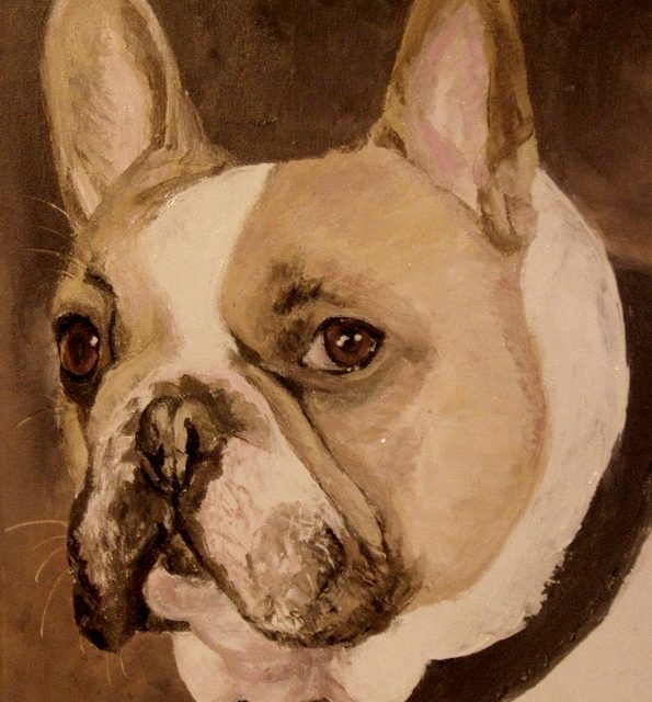 TOTO . bouledogue français (peinture)
