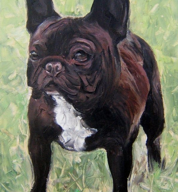 VALENCE . Bouledogue Français bringé (peinture)