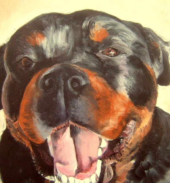 ROTTWEILER (peinture)