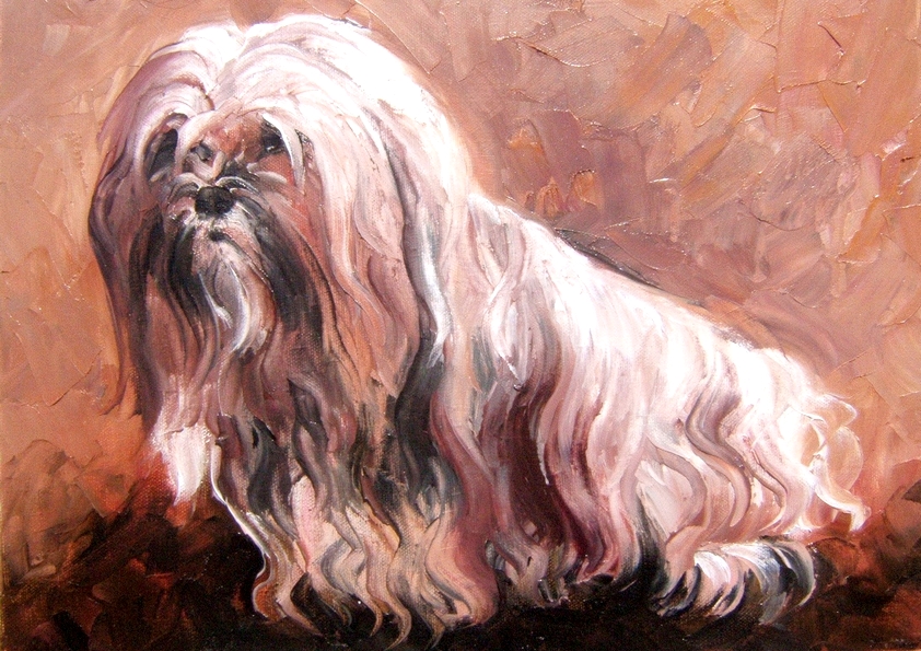 TERRIER DU TIBET (peinture)