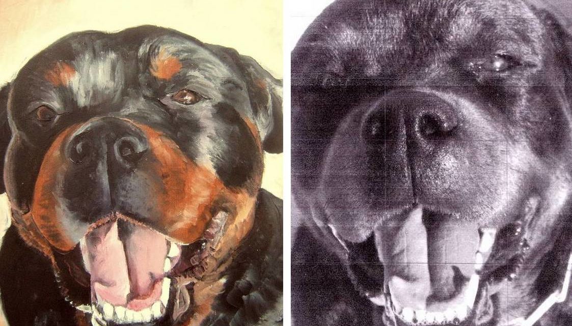 gagnant QUIZ . Avignon . février 2008