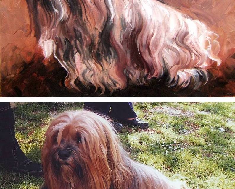 gagnant QUIZ . Nîmes . mars 2008