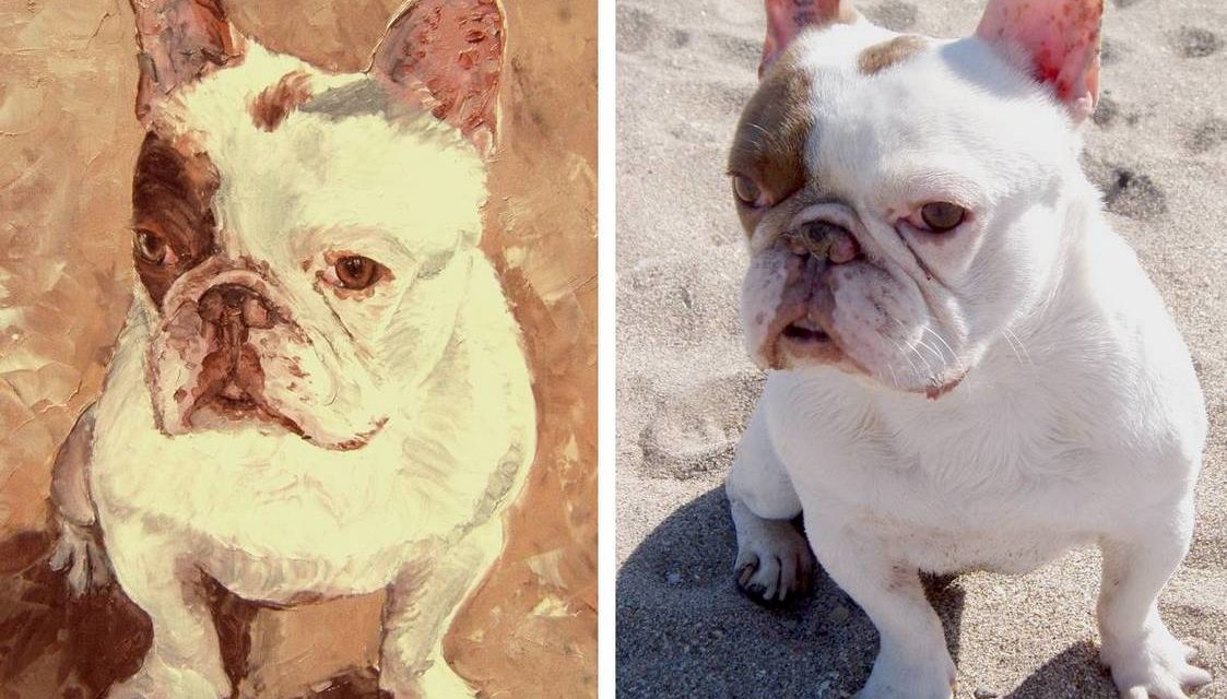 gagnant QUIZ . Béziers . avril 2008