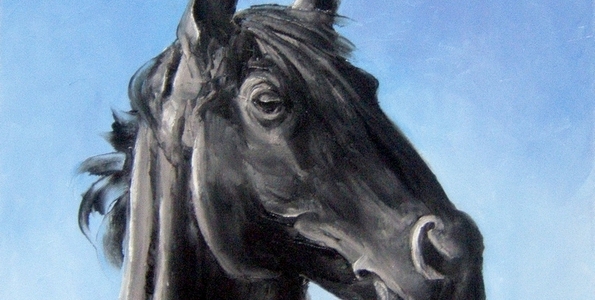 ARCOS . huile couteau