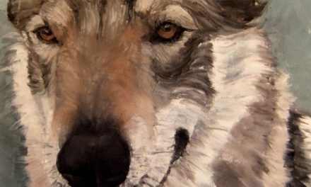 AR&rsquo;WANN . huile couteau