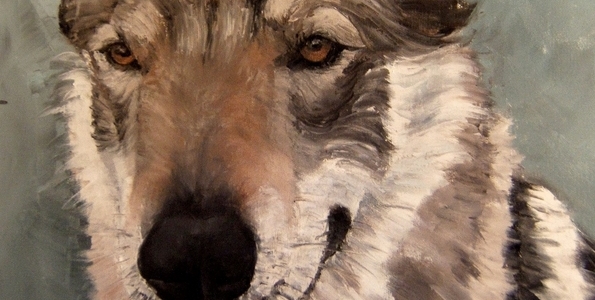 AR&rsquo;WANN . huile couteau