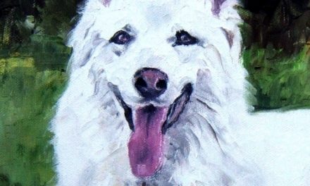 ASLAN . huile couteau