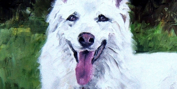 ASLAN . huile couteau