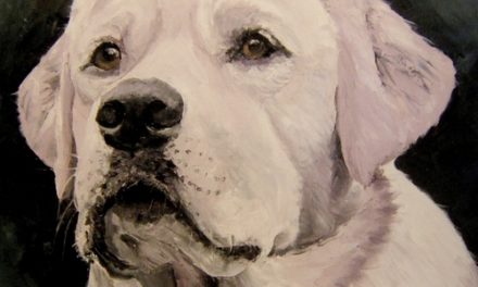 BAGO . huile couteau