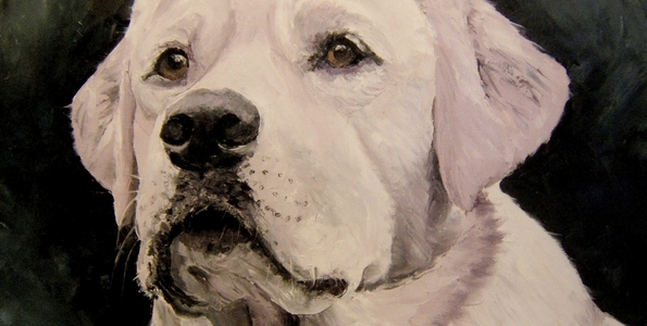 BAGO . huile couteau