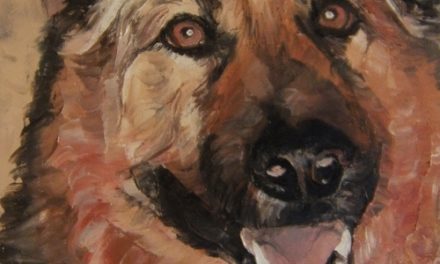 BERGER ALLEMAND . huile couteau