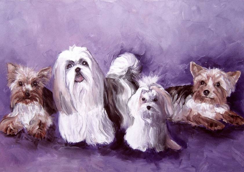BICHON, SHIHTZU & YORK (peinture)