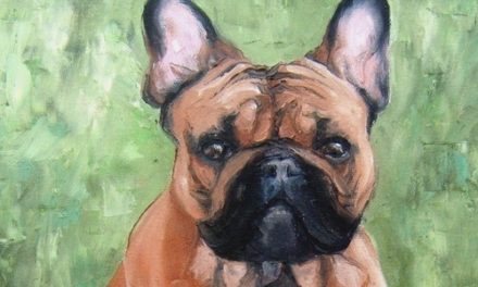 BIOUTY . huile couteau