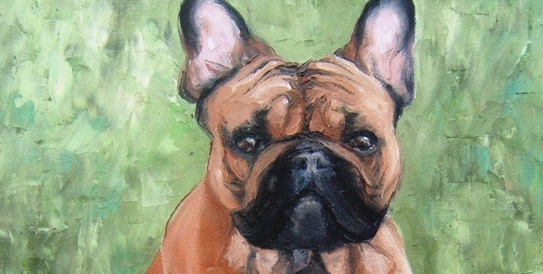 BIOUTY . huile couteau