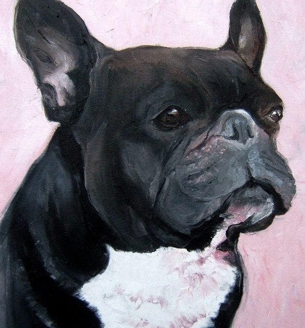 BOULEDOGUE FRANCAIS (peinture)