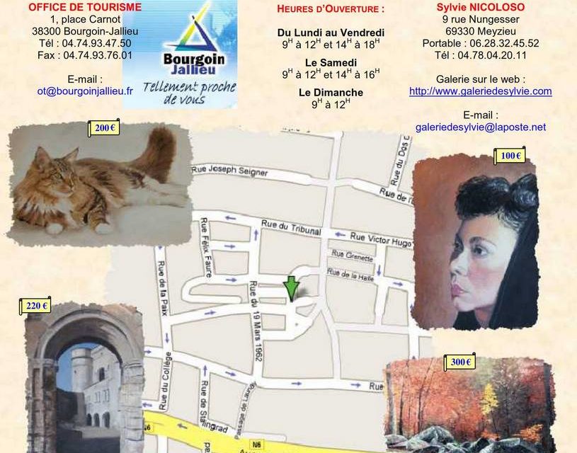 Exposition BOURGOIN JALLIEU . 1ère expo personnelle (invitation)