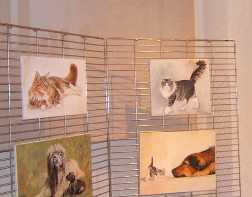 Exposition BOURGOIN JALLIEU . 1ère expo personnelle (photo)