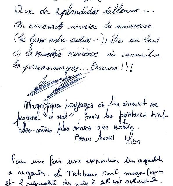 Exposition BOURGOIN JALLIEU . 1ère expo personnelle (témoignage)