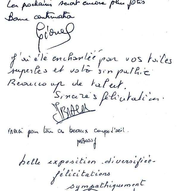 Exposition BOURGOIN JALLIEU . 1ère expo personnelle (témoignage)