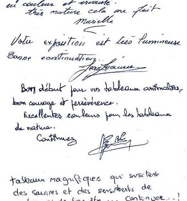 Exposition BOURGOIN JALLIEU . 1ère expo personnelle (témoignage)