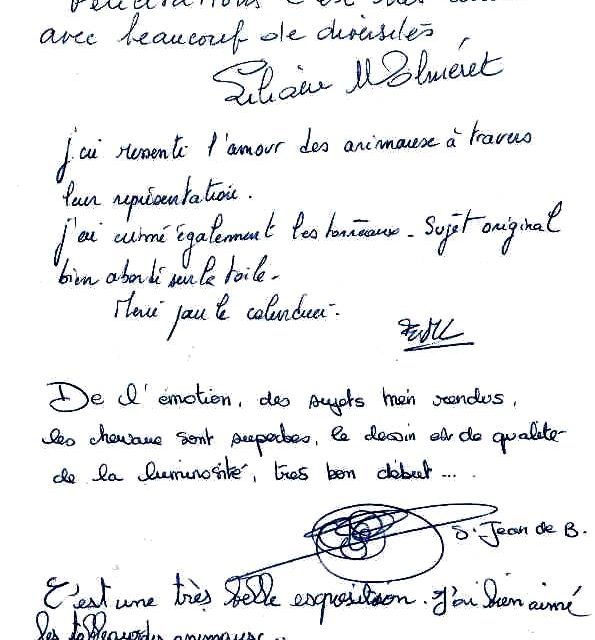 Exposition BOURGOIN JALLIEU . 1ère expo personnelle (témoignage)