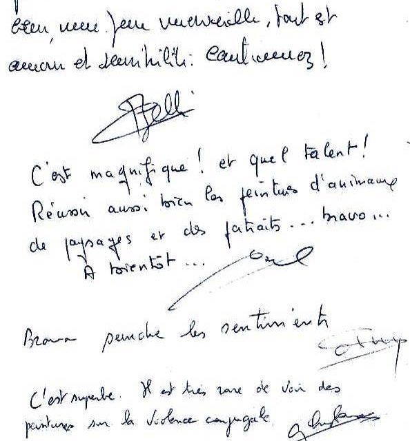 Exposition BOURGOIN JALLIEU . 1ère expo personnelle (témoignage)