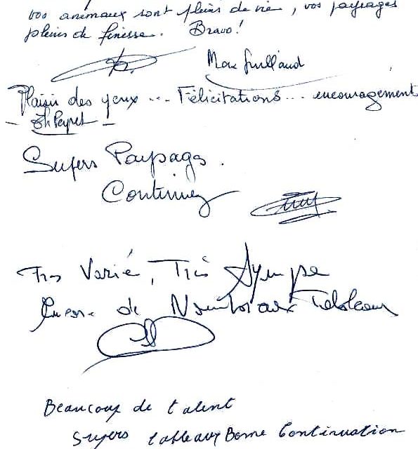 Exposition BOURGOIN JALLIEU . 1ère expo personnelle (témoignage)