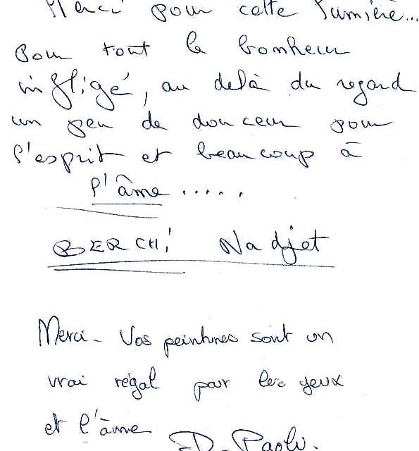 Exposition BOURGOIN JALLIEU . 1ère expo personnelle (témoignage)