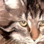 CATHARE . huile couteau